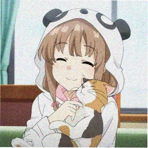 读者头像